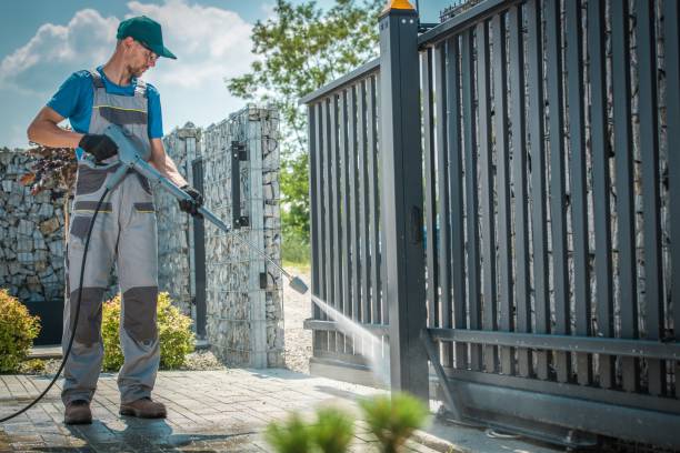 Best Gutter Cleaning  in Holtville, AL