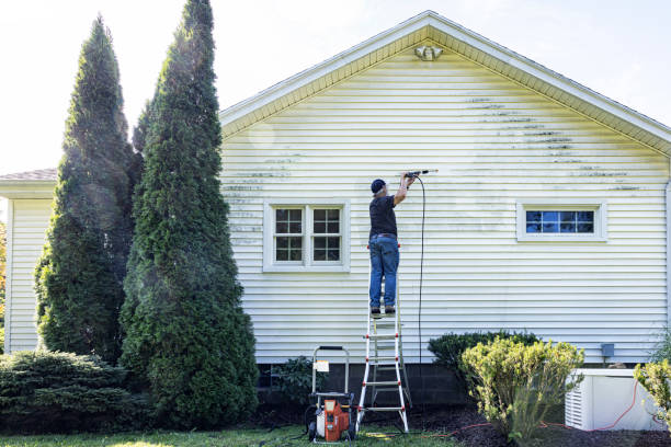 Best Fence Cleaning  in Holtville, AL