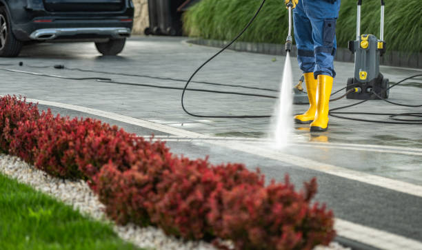 Best Patio and Deck Pressure Washing  in Holtville, AL